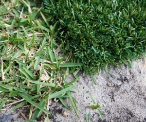 Sand-Infill-for-Artificial-Turf-1
